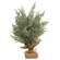 Frosted Woodland Cedar Tree, 15" 18164;