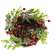 Snowy Pine & Red Berry Bird Nest  18193;