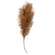 Weeping Pampas Grass Branch, Brown 18224;