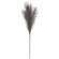 Pampas Grass Pick, 28", Gray 18232;