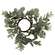 Frosted Boxwood Candle Ring 18276;