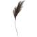 Weeping Pampas Grass Branch, Gray 18277;