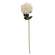 Blushing Cream Peony Spray, 29" 18278;