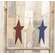 Primitive Colors Primitive Star Ornament, 3 Asstd.