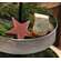 2/Set, Mitten & Star Wooden Cookies