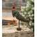 Christmas Crow Sitter