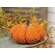 Orange Chenille Mossy Pumpkin 6"