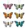Multi-Colored Butterfly Clips, 6/Set SHNE4006;