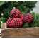 6 Set, Red & Black Buffalo Check Rag Balls