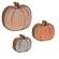 Watercolor Animal Print Chunky Pumpkins, 3/Set 36273;