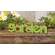Garden Wooden Word Cutout Sitter