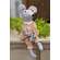 Madison Mouse