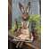 Grace's Garden Bunny Doll