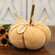 Light Orange Blessed Sweater Pumpkin, 7.5" Dia. JL24079;