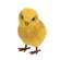 Left Facing Primitive Sisal Chick