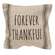Forever Thankful Striped Natural Pillow 15554;