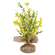 Yellow Tabletop Wildflowers w/Burlap Base 18291;