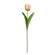 Champagne Tulip Stem, 17.5" 18299;