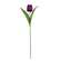 Purple Tulip Stem, 17.5" 18301;
