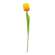 Sunrise Tulip Stem, 15.5" 18303;