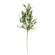 Cape Daisy, Astilbe, & Herb Spray 18316;