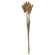 Rabbit Tail Grass Bundle, Natural 18365;