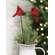 Cardinal & Holly Wooden Plant Stake, 2 Asstd.