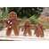 3 Set, Festive Wooden Gingerbread Sitters