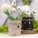 Distressed Black Wooden Twig Box with Star Charm