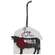 Farm Animal Barn Ornament, 4 Asstd.