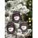 Let's Get Cozy Snowman Ornament, 3 Asstd.