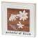 Bloom As You Are Daisy Layered Block, 3 Asstd.