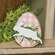 Hopping Bunny Pink Plaid Egg Sitter