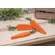 3 Set, Chunky Wooden Carrot Bundle