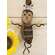 Stiffened Fabric Primitive Bumble Hanger