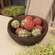 12 Set, Small Primitive Gingham Rag Balls