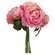 Full Bloom Peony Bouquet, Rose Pink 18379;