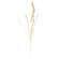 Wispy Late Summer Bunny Tail & Dried Grass Spray