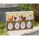Retro Chickens on "Farm" Eggs Box Sign
