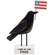 Land of the Free Crow Sitter