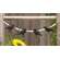 Wooden Beaded Crow Mini Garland