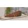 3 Set, Chunky Wooden Carrot Bundle