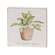 Love Grows Here House Plant Square Block, 4 Asstd.