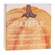 Thankful/Grateful Definition Pumpkin Box Sign, 2 Asstd. 37896;