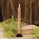 Grungy Vintage Twist Flicker Flame Timer Taper, 9.5"