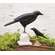 Wooden Crow Pedestal, Small