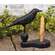 Wooden Crow Pedestal with Taper Holder