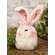 CS38915 Stuffed Fuzzy Bunny Head Sitter w/Pink & White Checked Bow;