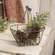 Wire Oval Basket with Swing Handle