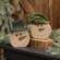 Distressed Wooden Snowman with Hat Sitter, 2 Asstd.